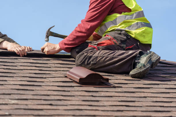 Best Roof Gutter Cleaning  in Chapman, KS