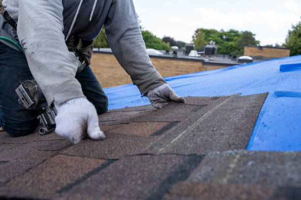 Best Roof Repair Services  in Chapman, KS