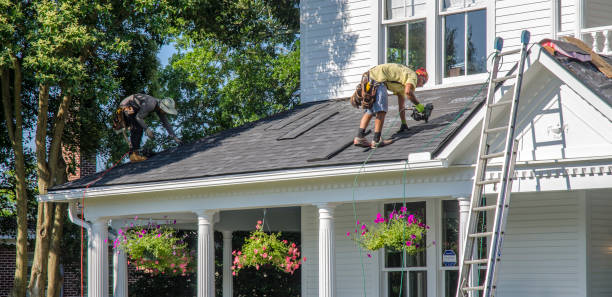 Best Roof Maintenance Services  in Chapman, KS