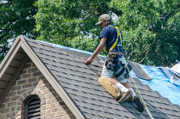 Professional Roofing Contractor in Chapman, KS